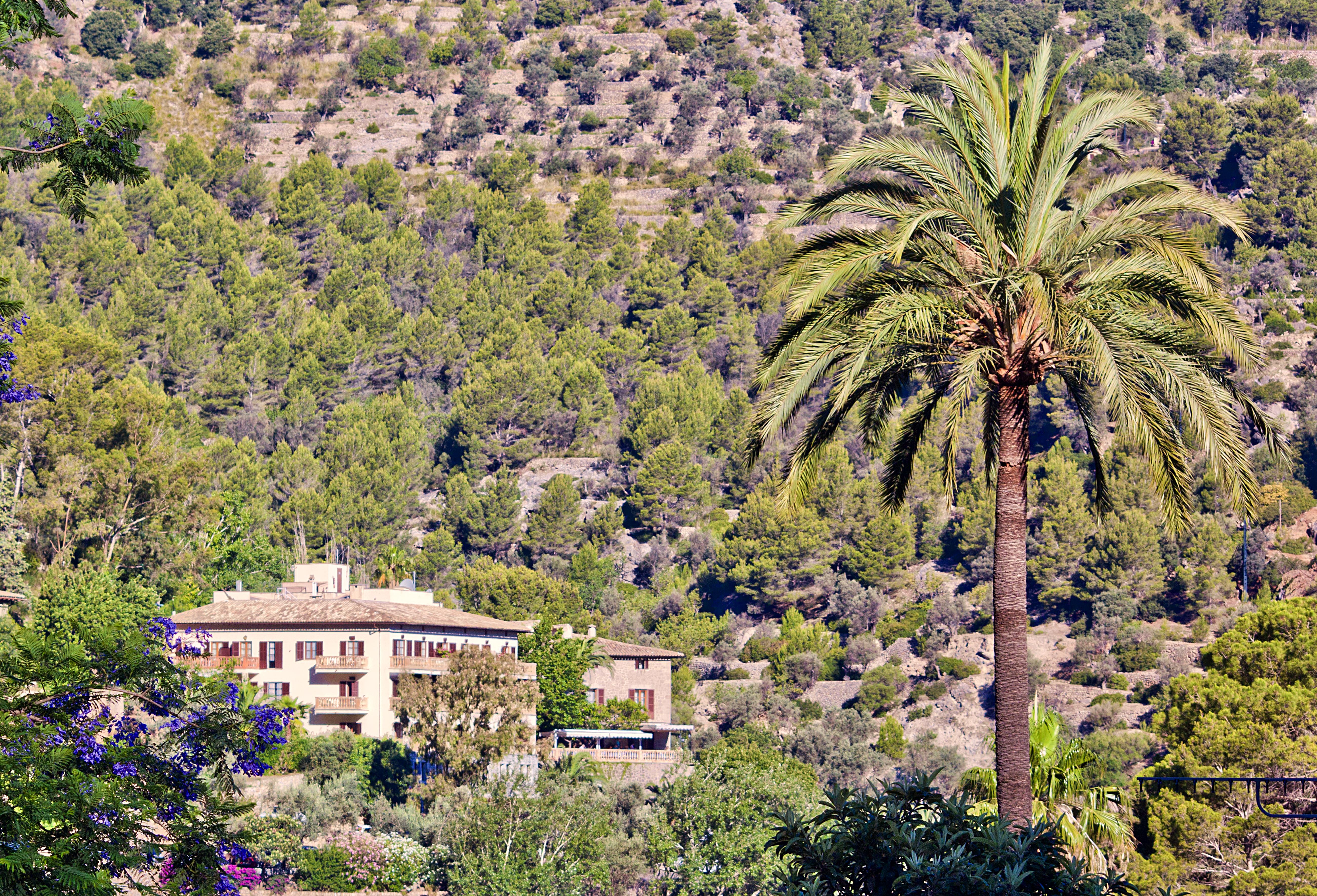 Es Moli Hotel Deia Exterior foto